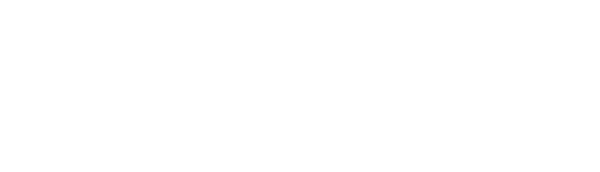 Next Level Engineering